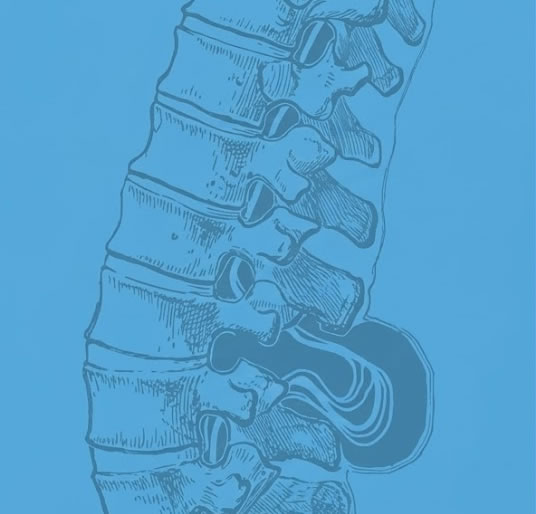 Espina Bífida | Asesbih Perú