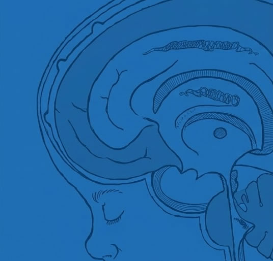 Hidrocefalia | Asesbih Perú